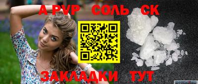 СК Новодвинск