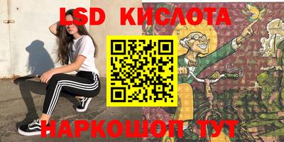 СК Новодвинск