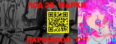 СК Новодвинск