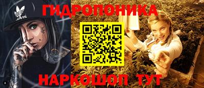 СК Новодвинск