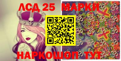 СК Новодвинск