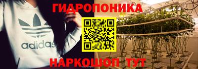 СК Новодвинск