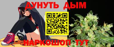 СК Новодвинск