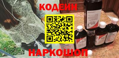 СК Новодвинск