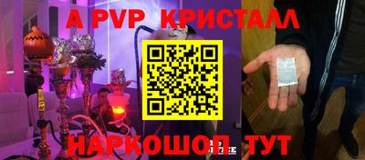 СК Новодвинск